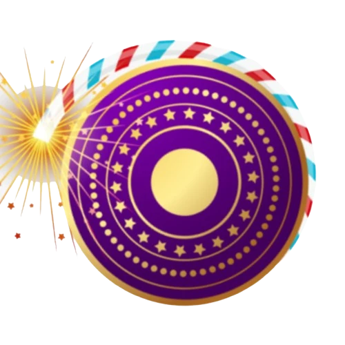 Annai Crackers Fireworks Display - Award-Winning Pyrotechnics